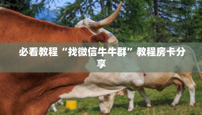 玩家科普“微信金花牛牛房卡怎么买"怎么弄房卡"详细步骤分享!!! 玩家科普“微信金花牛牛房卡怎么买"怎么弄房卡"详细步骤分享!!!