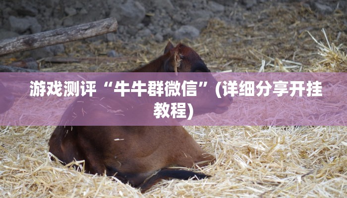  游戏测评“牛牛群微信”(详细分享开挂教程)