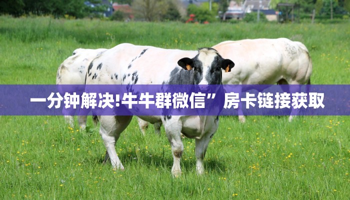  实时通报“微信金花房卡怎么弄”详细房卡教程