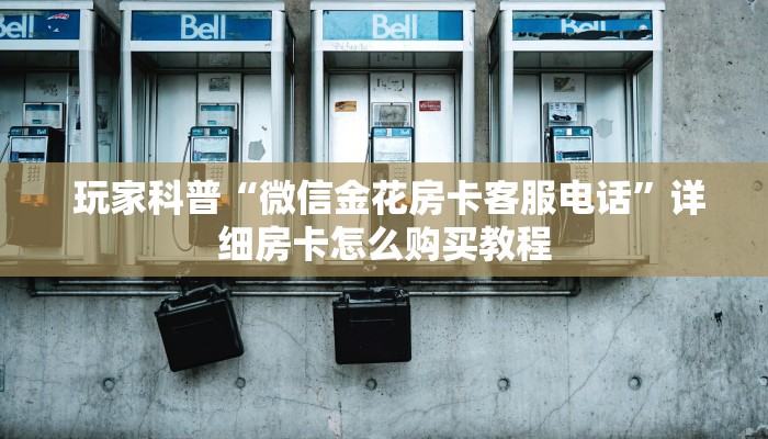  玩家科普“微信金花房卡客服电话”详细房卡怎么购买教程