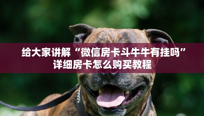  玩家攻略“金花游戏链接房卡""低价获取"!’分享房卡给大家