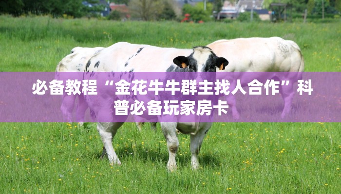  10分钟了解“新道游房卡在哪可以充值到我号上”获取房卡方式