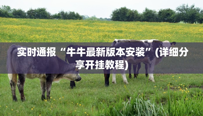  实时通报“牛牛最新版本安装”(详细分享开挂教程)