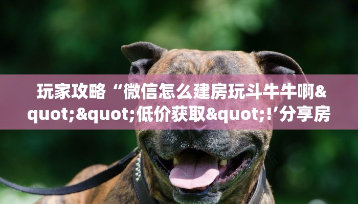  玩家攻略“微信怎么建房玩斗牛牛啊""低价获取"!’分享房卡给大家