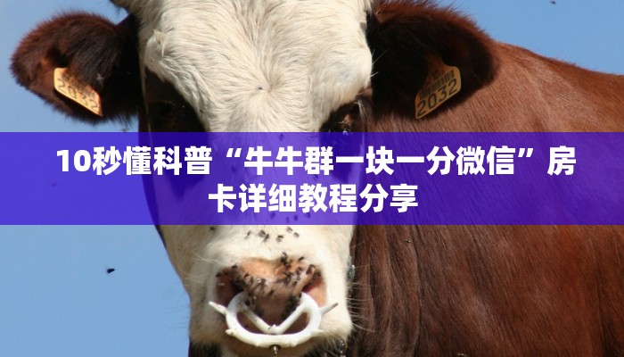  10秒懂科普“烛龙大厅怎么买房卡”详细介绍房卡使用方式
