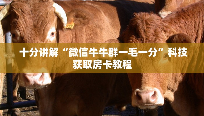  分享干货“金花牛牛微信房卡”使用房卡购买教程