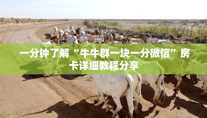  靠谱推荐“微信房卡斗牛透视原理”详细房卡怎么购买教程