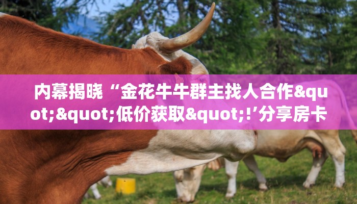 科普!“微信玩牛牛房卡怎么购买”详细分享开挂教程 科普!“微信玩牛牛房卡怎么购买”详细分享开挂教程