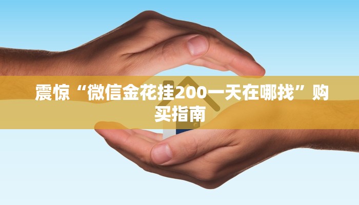震惊“微信金花挂200一天在哪找”购买指南 震惊“微信金花挂200一天在哪找”购买指南