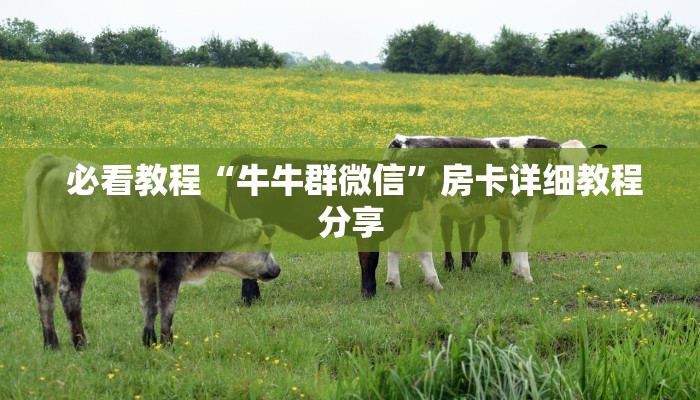  必看教程“牛牛群微信”房卡详细教程分享