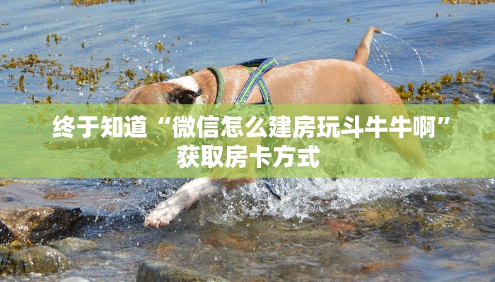 盘点那些“哪里有微信炸金花房卡”房卡详细充值 盘点那些“哪里有微信炸金花房卡”房卡详细充值