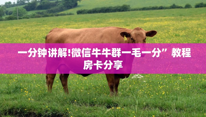 一分钟讲解!微信牛牛群一毛一分”教程房卡分享