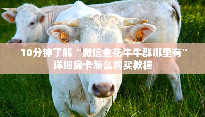  10分钟了解“微信金花牛牛群哪里有”详细房卡怎么购买教程