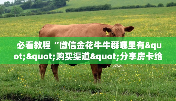 必看教程“微信金花牛牛群哪里有""购买渠道"分享房卡给大家 必看教程“微信金花牛牛群哪里有""购买渠道"分享房卡给大家