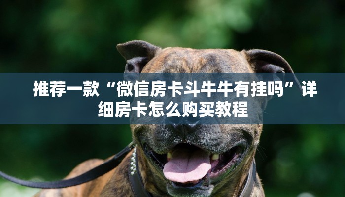 必看教程“微信怎么玩牛牛金花”详细获取房卡教程