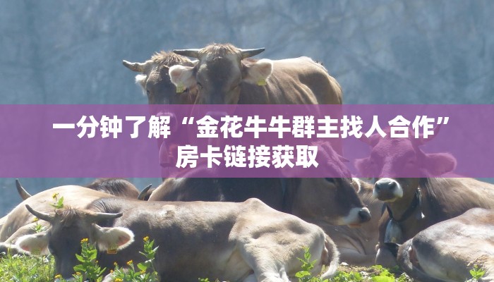 10分钟了解“微信好友炸金花房间链”使用房卡购买教程 ”教程房卡分享 10分钟了解“微信好友炸金花房间链”使用房卡购买教程 ”教程房卡分享