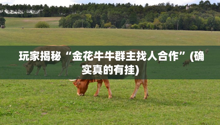 玩家揭秘“金花牛牛群主找人合作”(确实真的有挂) 玩家揭秘“金花牛牛群主找人合作”(确实真的有挂)