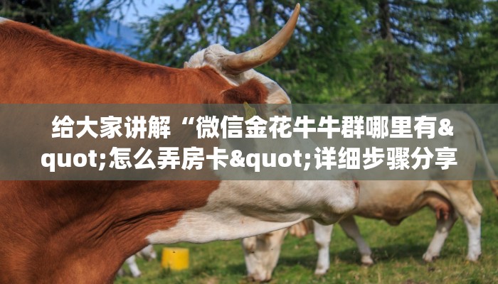  终于解决“微信房卡模式棋牌平台”房卡详细教程分享