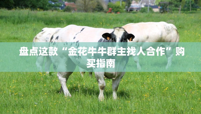 盘点这款“金花牛牛群主找人合作”购买指南 盘点这款“金花牛牛群主找人合作”购买指南