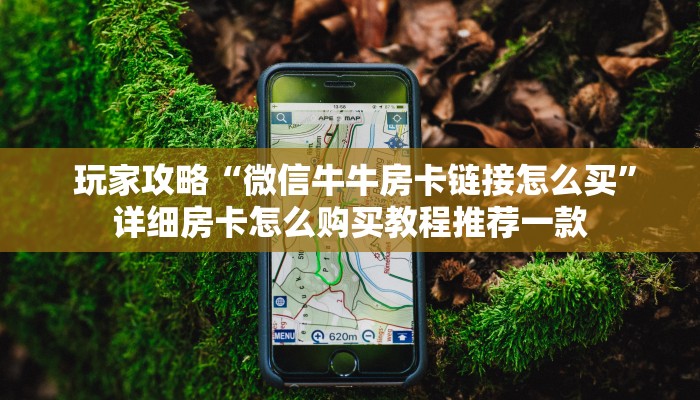  独家了解“微信拼三张牛牛房卡”详细房卡教程