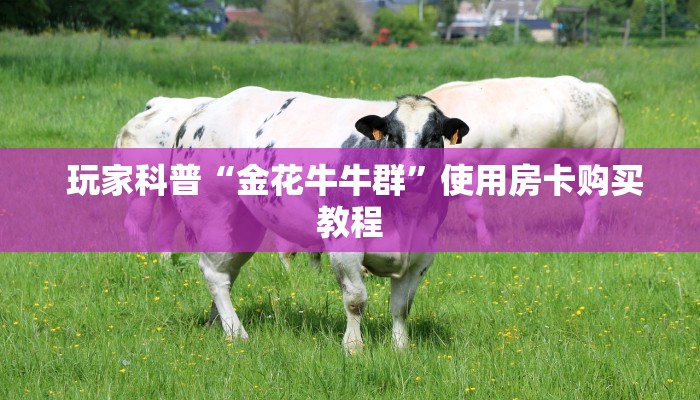 盘点这款“微信金花购买房卡教程”房卡实战经验 盘点这款“微信金花购买房卡教程”房卡实战经验