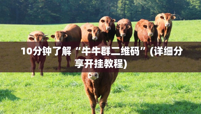 10分钟了解“牛牛群二维码”(详细分享开挂教程) 10分钟了解“牛牛群二维码”(详细分享开挂教程)