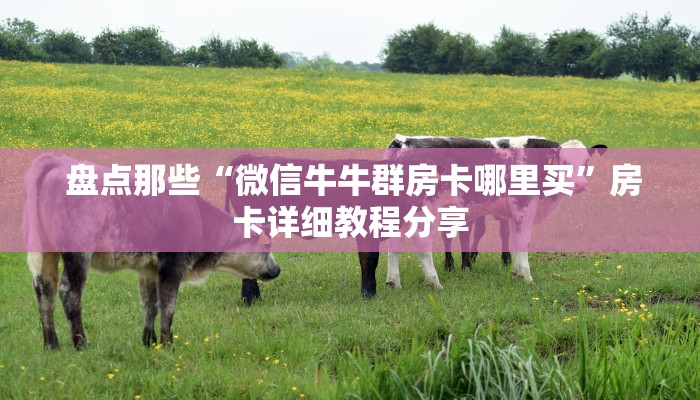  盘点那些“微信牛牛群房卡哪里买”房卡详细教程分享