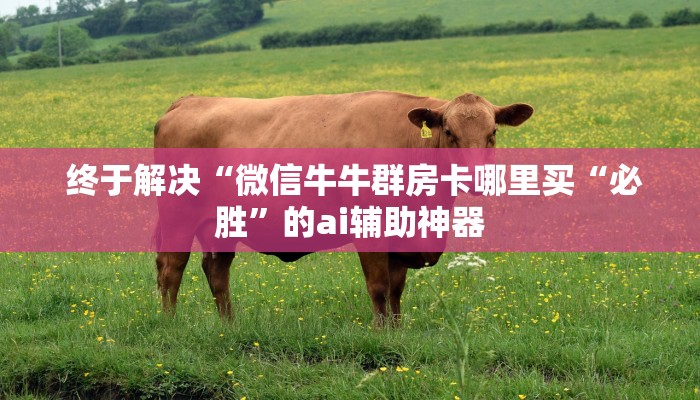  玩家揭秘“一元一分牛牛金花24小时”详细房卡点评