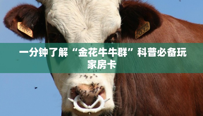  一分钟了解“金花牛牛群”科普必备玩家房卡