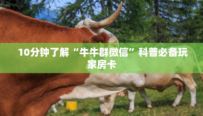  1秒种了解“炸金花房卡怎么搞到”科技获取房卡教程