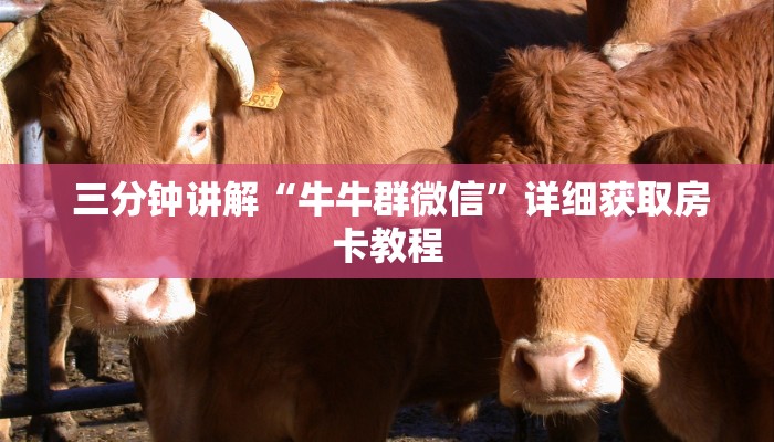 三分钟讲解“牛牛群微信”详细获取房卡教程 三分钟讲解“牛牛群微信”详细获取房卡教程
