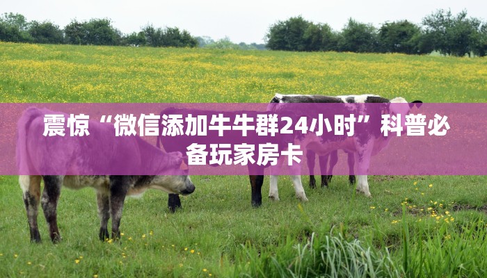 居家必备“填大坑微信链接房卡”详细分享开挂教程 居家必备“填大坑微信链接房卡”详细分享开挂教程