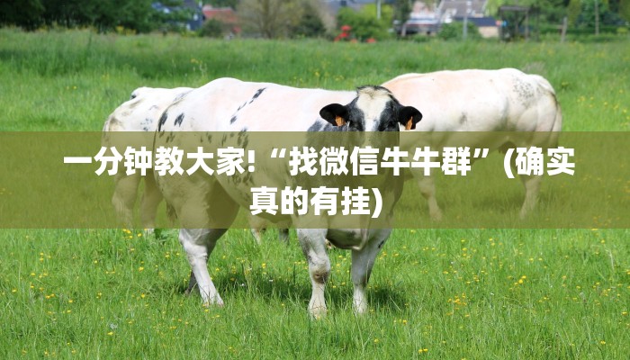  玩家科普“炸金花房卡怎么卖”房卡实战经验