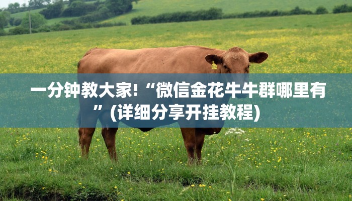 终于知道怎么找到“牛牛房卡代理微信版”获取房卡教程 终于知道怎么找到“牛牛房卡代理微信版”获取房卡教程