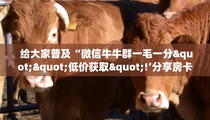 玩家攻略“微信金花链接房卡平台推荐”获取房卡教程 玩家攻略“微信金花链接房卡平台推荐”获取房卡教程