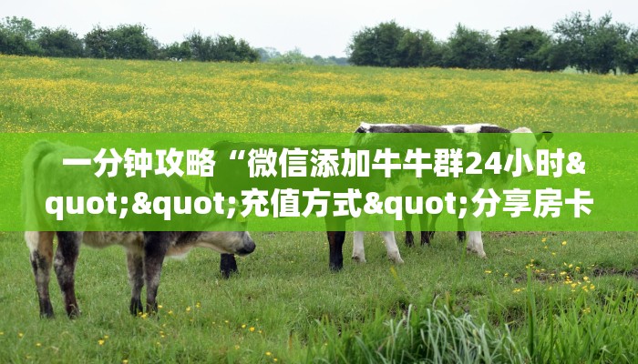  玩家必知“微信打牌房卡怎么开”详细分享开挂教程