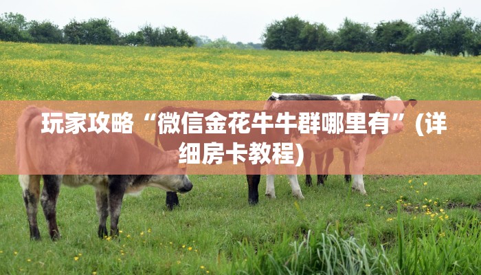玩家攻略“微信金花牛牛群哪里有”(详细房卡教程) 玩家攻略“微信金花牛牛群哪里有”(详细房卡教程)