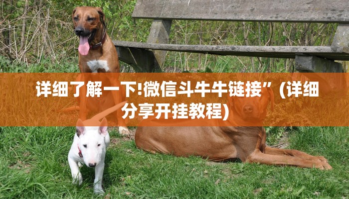 一分钟了解“新道游房卡”详细房卡点评 一分钟了解“新道游房卡”详细房卡点评