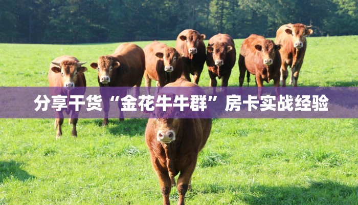  玩家测评“微信充值金花链接房卡”房卡使用教程