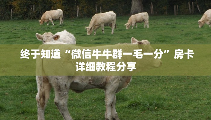 一分钟教会你"微信金花房卡哪里弄便宜”房卡如何领取 一分钟教会你"微信金花房卡哪里弄便宜”房卡如何领取