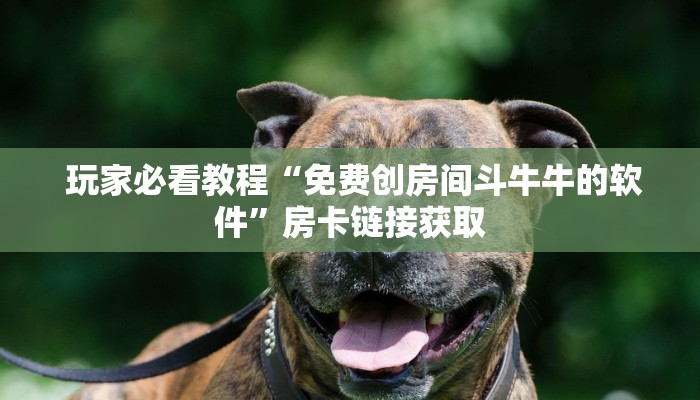 玩家必看教程“免费创房间斗牛牛的软件”房卡链接获取 玩家必看教程“免费创房间斗牛牛的软件”房卡链接获取