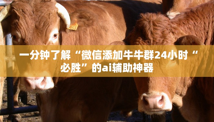 一分钟了解“微信添加牛牛群24小时“必胜”的ai辅助神器 一分钟了解“微信添加牛牛群24小时“必胜”的ai辅助神器