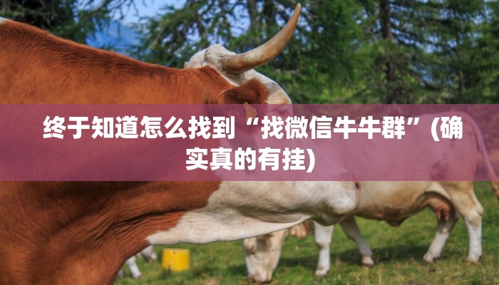 盘点这款“微信牛牛链接版 有房卡”独家房卡怎么购买方式 盘点这款“微信牛牛链接版 有房卡”独家房卡怎么购买方式