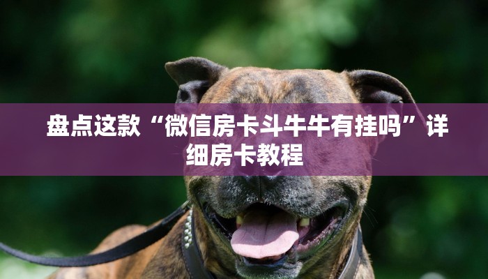 盘点这款“微信房卡斗牛牛有挂吗”详细房卡教程 盘点这款“微信房卡斗牛牛有挂吗”详细房卡教程