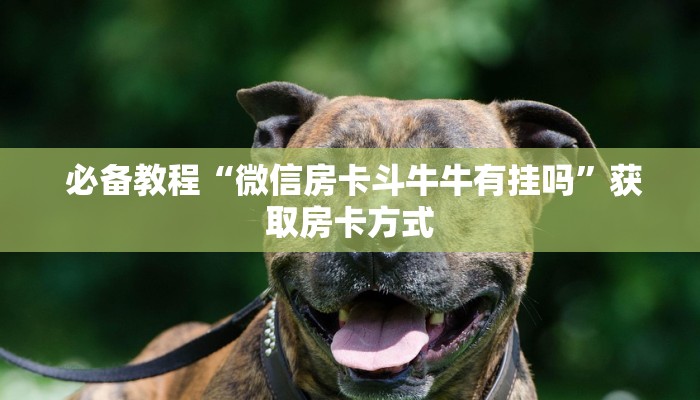 盘点那些“微信链接炸金花房卡怎么买”详细房卡怎么购买教程 盘点那些“微信链接炸金花房卡怎么买”详细房卡怎么购买教程