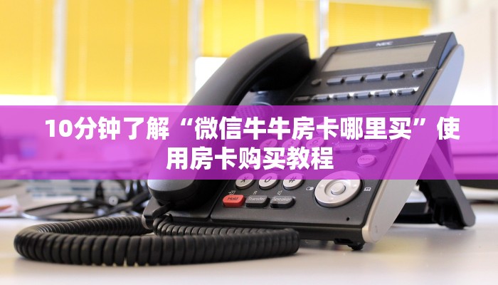  10分钟了解“微信牛牛房卡哪里买”使用房卡购买教程