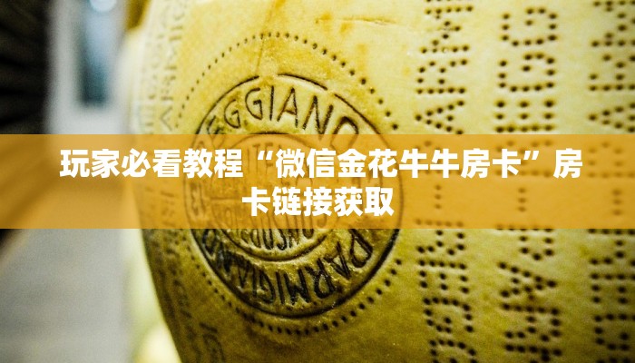  玩家必看教程“新道游正版游戏房卡”科普玩家房卡
