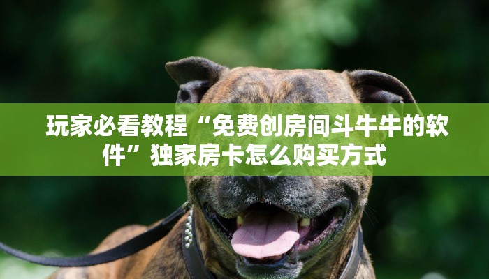 7分钟了解“微信牛牛房卡招代理”获取房卡教程 7分钟了解“微信牛牛房卡招代理”获取房卡教程