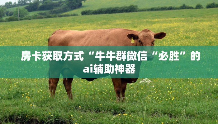 房卡获取方式“牛牛群微信“必胜”的ai辅助神器 房卡获取方式“牛牛群微信“必胜”的ai辅助神器