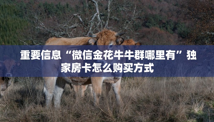  重要信息“微信金花牛牛群哪里有”独家房卡怎么购买方式